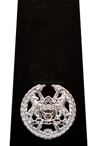 Assistant Commissioner of Police Badge