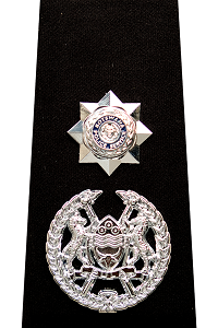 Senior Assistant Commissioner of Police Badge