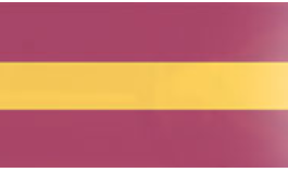 Botswana Police Service Flag