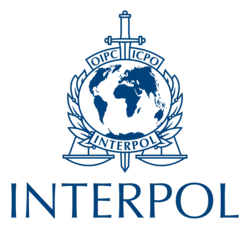 Interpol Unit